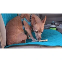 NeoSupreme Seat Protectors - Front Set - 1pc Solid Aqua(Neosupreme Seat Protectors Front Set 1pc Solid Aqua) 9 NeoSupreme Seat Protectors - Front Set - 1pc Solid Aqua(Neosupreme Seat Protectors Front Set 1pc Solid Aqua) -FH Group fh1016 aqua 2