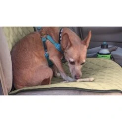 NeoSupreme Seat Protectors - Front Set - 1pc Solid Beige(Neosupreme Seat Protector 1pk Front Beige) -FH Group fh1016 beige 2 0c7d0a92 cb57 4bcd 8fdf 40f2c656116f