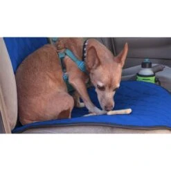 NeoSupreme Seat Protectors - Front Set - 2pc Solid Blue(Neosupreme Seat Protectors Front Set Blue) -FH Group fh1016 blue 2