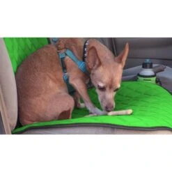 NeoSupreme Seat Protectors - Front Set - 1pc Solid Green(Neosupreme Seat Protectors Front Set 1pc Solid Green) -FH Group fh1016 green 2 e12a584a 0825 4ded 850e 30e78044125b