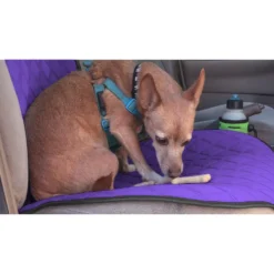 NeoSupreme Seat Protectors - Front Set - 1pc Solid Purple(Neosupreme Seat Protectors Front Set 1pc Solid Purple) -FH Group fh1016 purple 2 1ebec8df 265c 42bb 95b9 aa1490d7de5d