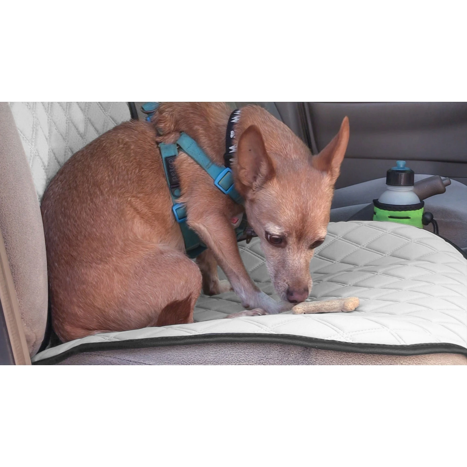 NeoSupreme Seat Protectors - Front Set - 2pc Solid White(Neosupreme Seat Protectors Front Set 2pc Solid White) 3 NeoSupreme Seat Protectors - Front Set - 2pc Solid White(Neosupreme Seat Protectors Front Set 2pc Solid White) - Image 3